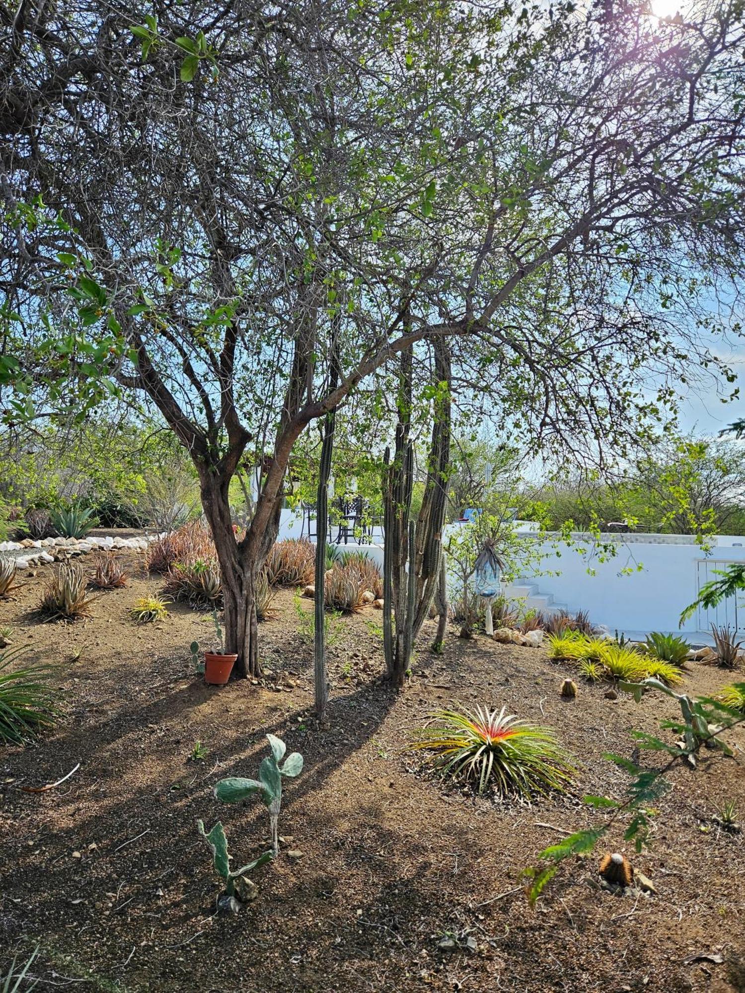 Villa San Sebastian Curacao Fontein Exterior photo